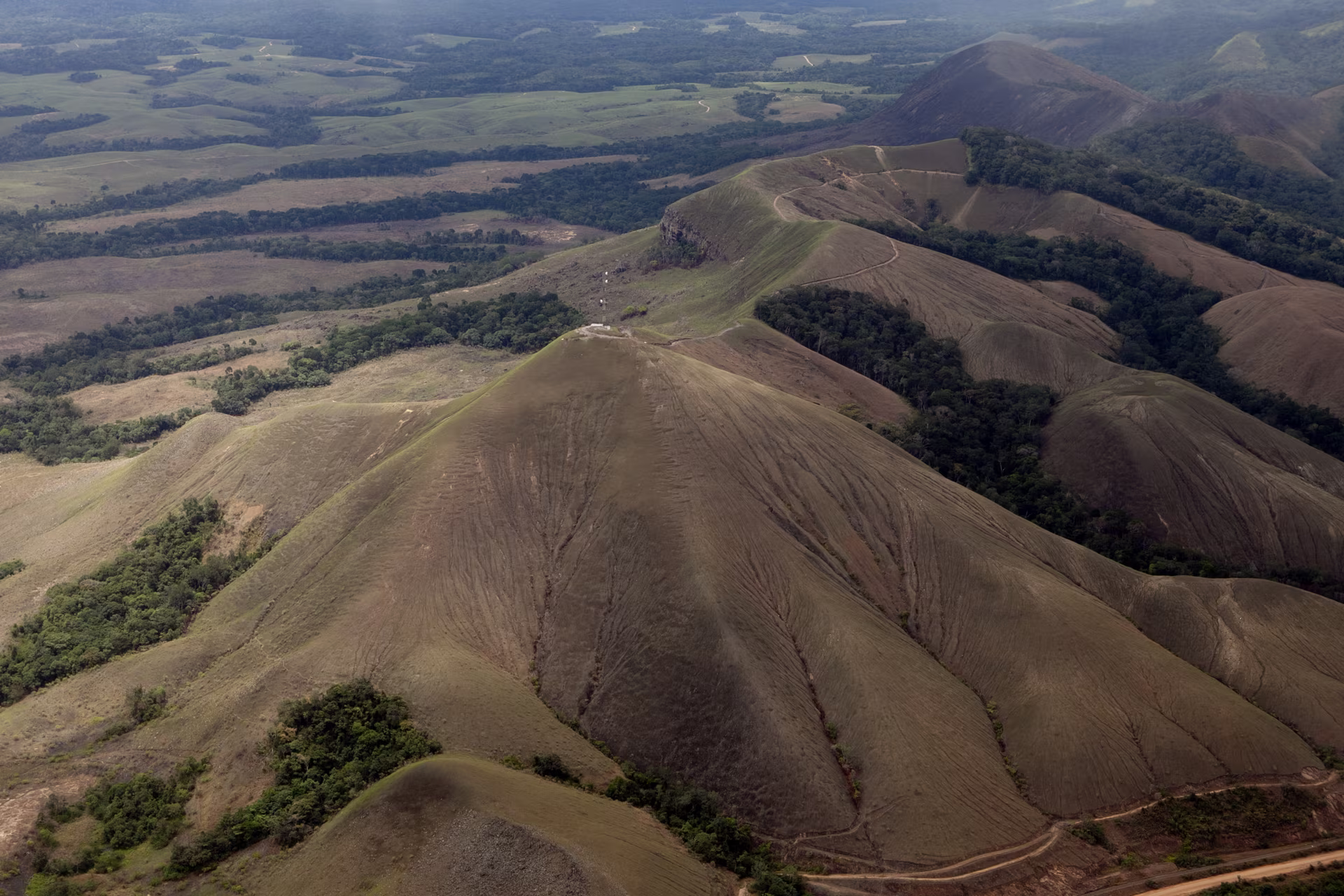 The Call of the Gabonese Jungle: Lopé & Loango, Wild Odyssey