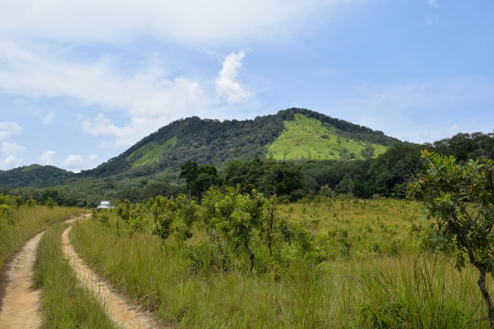 Parc national de la Lopé